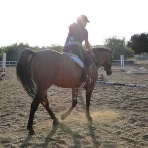 Meet your Posher, Victoria